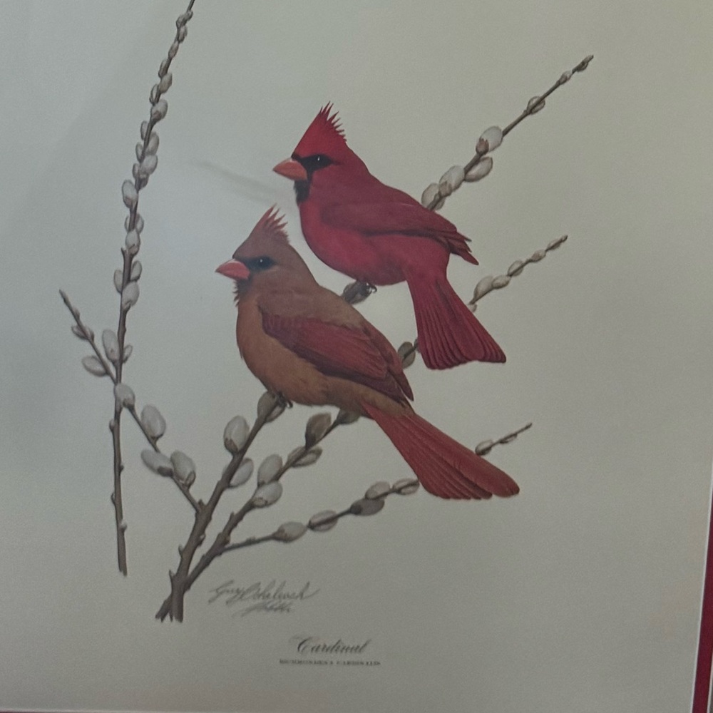 Guy Coheleach signed Cardinal Art Print
